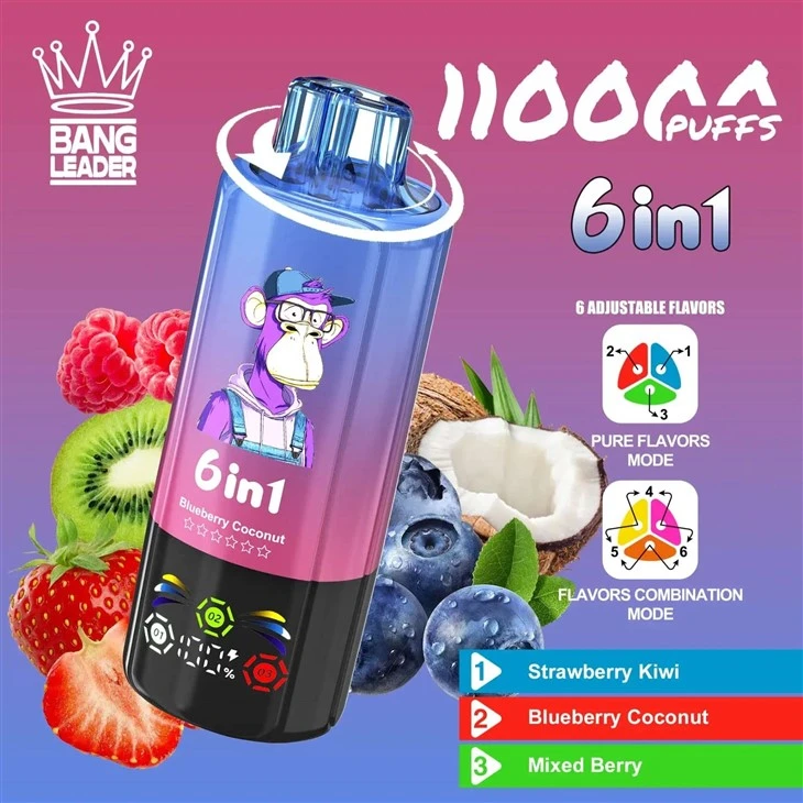 Bang Leglend 6in1 Vape 110k Puffs best